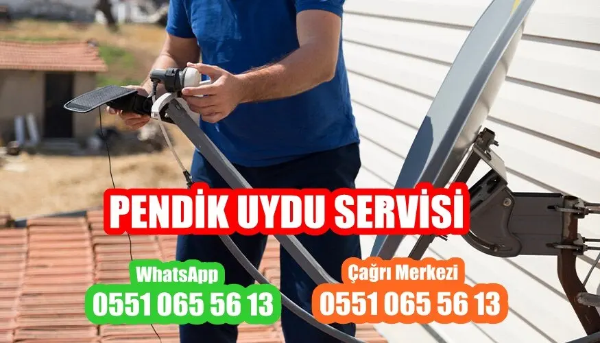 Pendik uydu servisi (Uyducu)