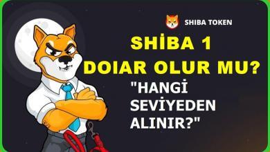 Shiba 1 dolar olur mu? Shiba para geleceği 2022 shiba coin